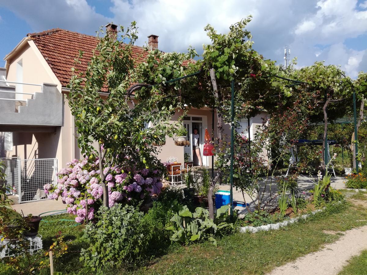 Frile Apartments Nikšić Extérieur photo